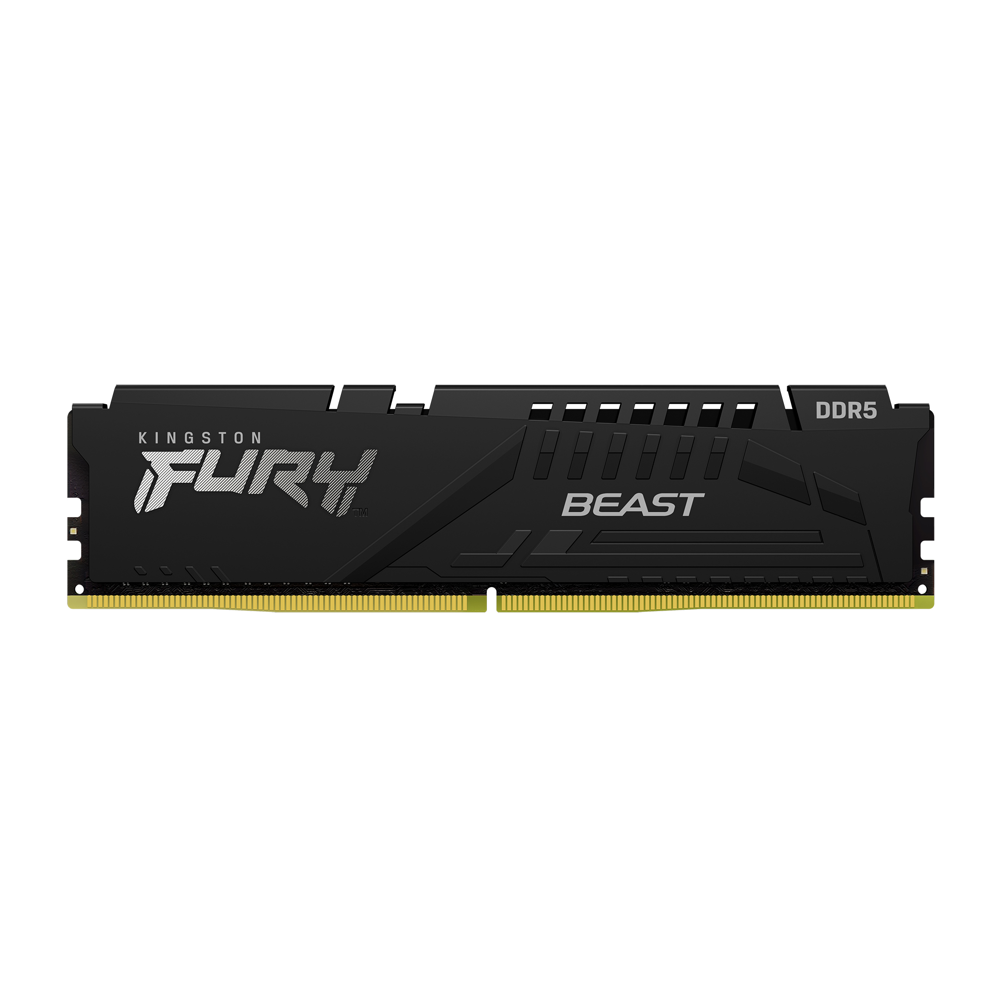 52116_39739_ktc_product_memory_beast_ddr5_single_1_zm_lg.jpg