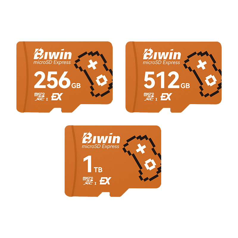 biwin-me300.png